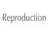 preconception care program empowered conception with ileana kapic reproductive biologist, fertility coach and fertility doula infertility, pregnancy loss, trying to conceive, fertility support, implantation ivf